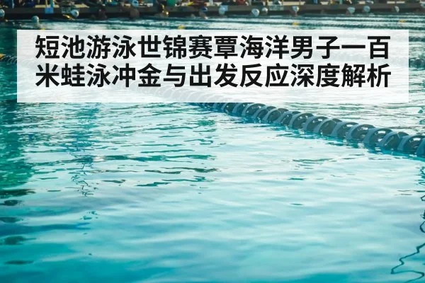 swimming competition pool lanes